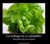 Lechuga Saludable - thumbnail