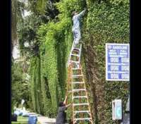 Yo Puedo - thumbnail