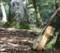 Guitarra En La Naturaleza - thumbnail