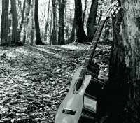 Guitarra En El Bosque - thumbnail
