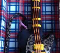 Guitarra Almuada - thumbnail