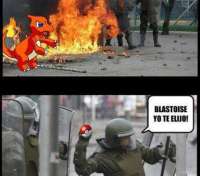 Pokemon Real - thumbnail