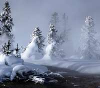 Mystic Winter Wallpaper - thumbnail